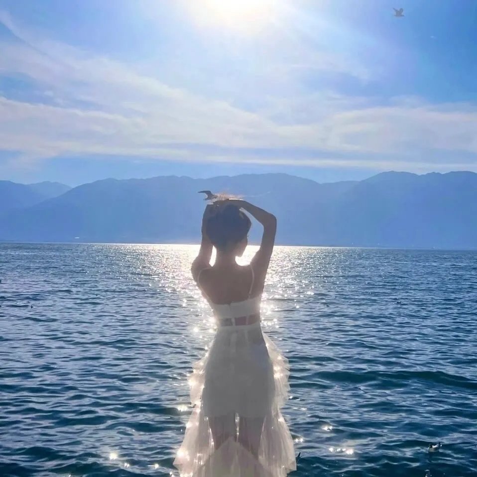 风流公子